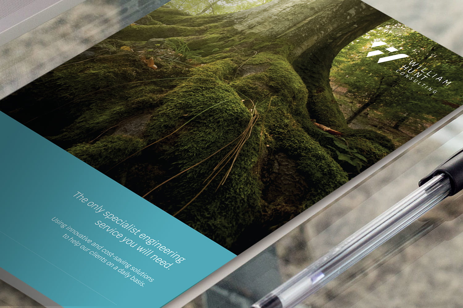 William Hunt Constulting